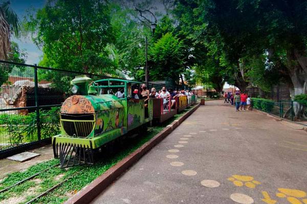 Parque el Centenario<